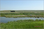 Cages in the Center for recovery of Przhevalsky’s horse population of 'Orenburg Tarpaniya' project.     [145 Kb]