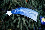 Opening of a student's Christmas tree at OSU.     [207 Kb]